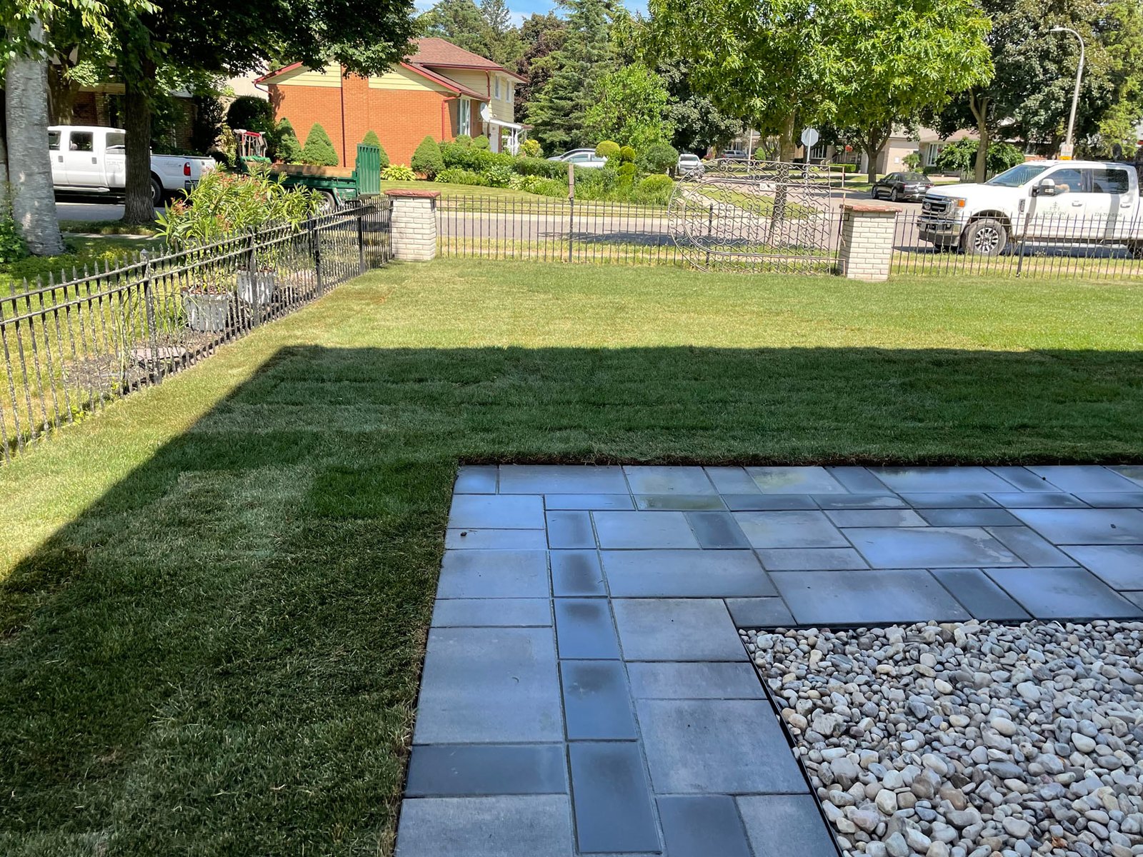 Farm-Fresh Kentucky Bluegrass