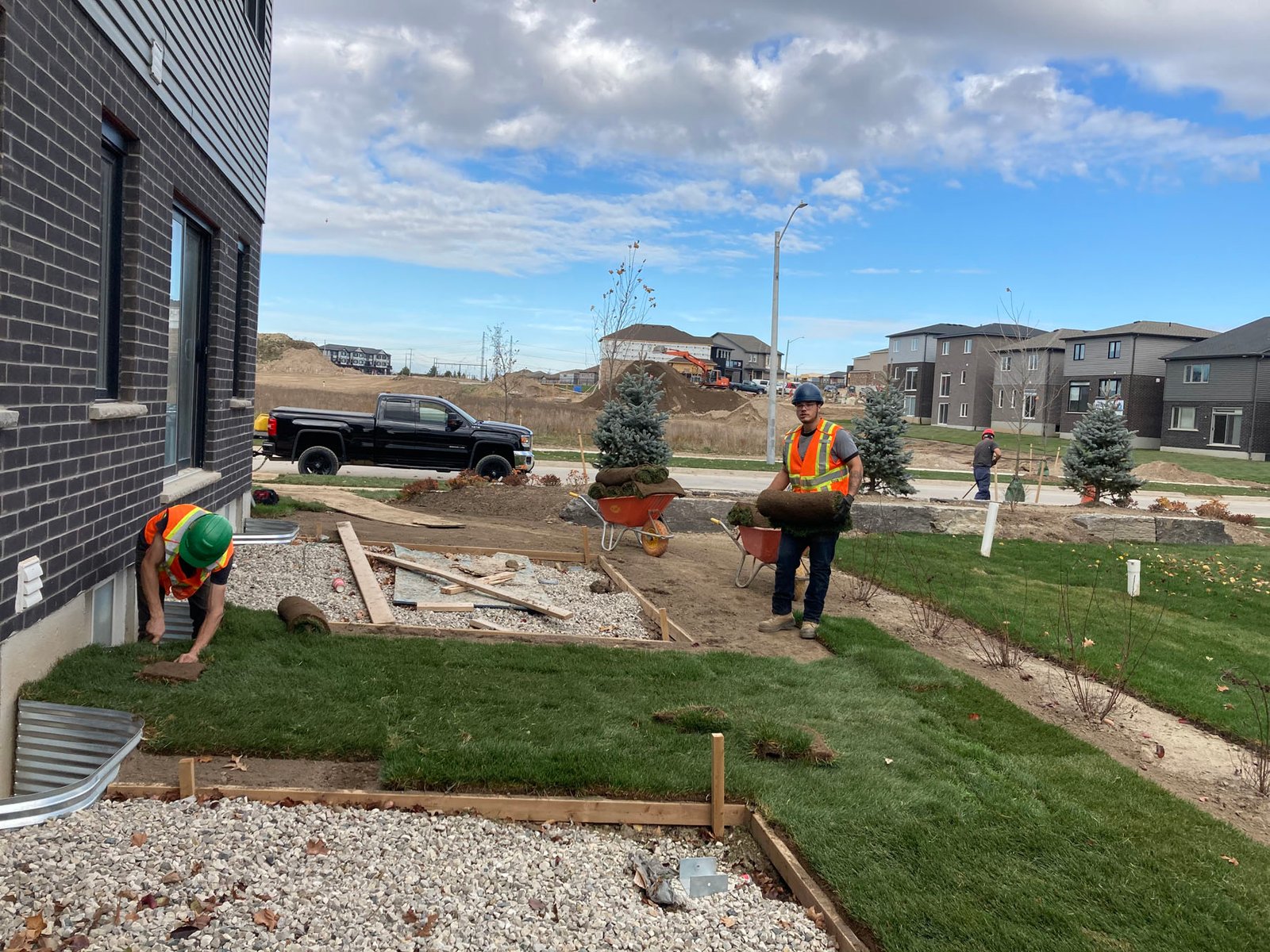 Grass repair in Kitchener