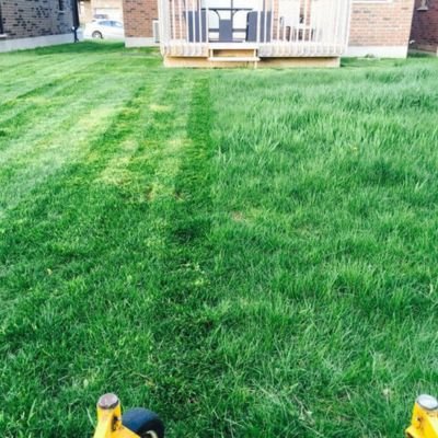 A residential backyard showing a freshly repaired and mowed section of bright green grass blending into the existing lawn, located next to a wooden deck.