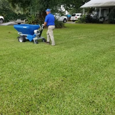 A lawn care technician in a blue shirt and hat pushing a large blue granular fertilizer spreader machine across a healthy green lawn in a residential area, with a white truck and house porch in the background.