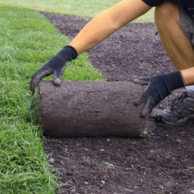 A landscaper wearing black gloves carefully unrolling a fresh roll of green sod onto a bed of dark, prepared topsoil next to a newly laid section of grass.